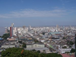 Криминальные новости Криминальные новости