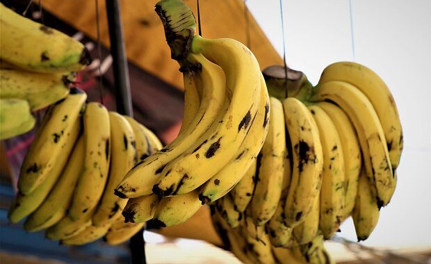 Скандалы и криминал: Полиция и таможенная служба Испании конфисковали 13 тонн кокаина